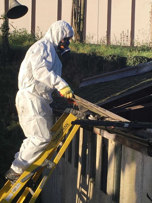 Removing Asbestos Roof In Colchester